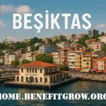 بشیکتاش استانبول